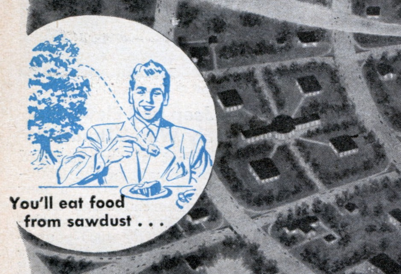 Illustration for article titled 'Optimistic' Predictions From 1950 That Warned of the Coming Dystopia